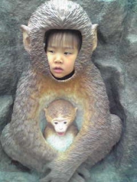 この顔になるまでに